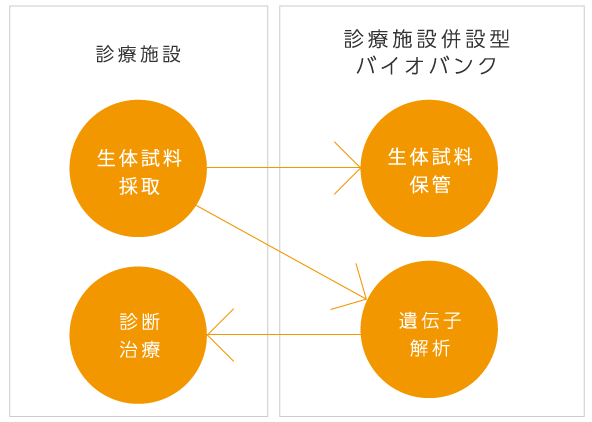 診療施設併設型バイオバンク